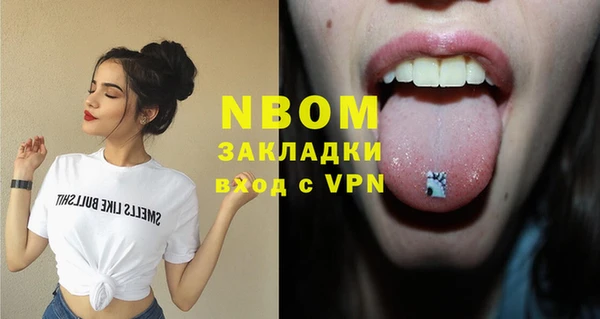 стаф Алексин