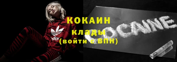 стаф Алексин