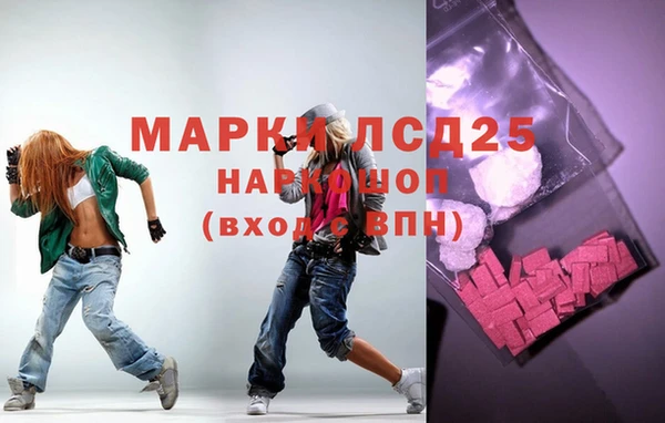 стаф Алексин
