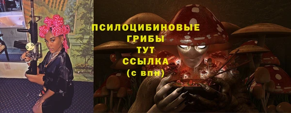 стаф Алексин